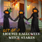 Set of 3 Lighted Halloween Witch Stakes