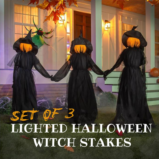 Set of 3 Lighted Halloween Witch Stakes